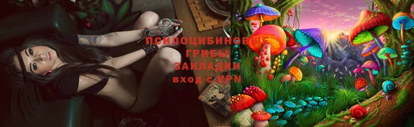 твердый Алзамай