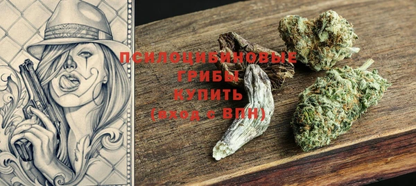 герыч Алексин